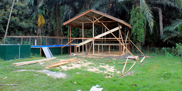 Building an interpretation hall