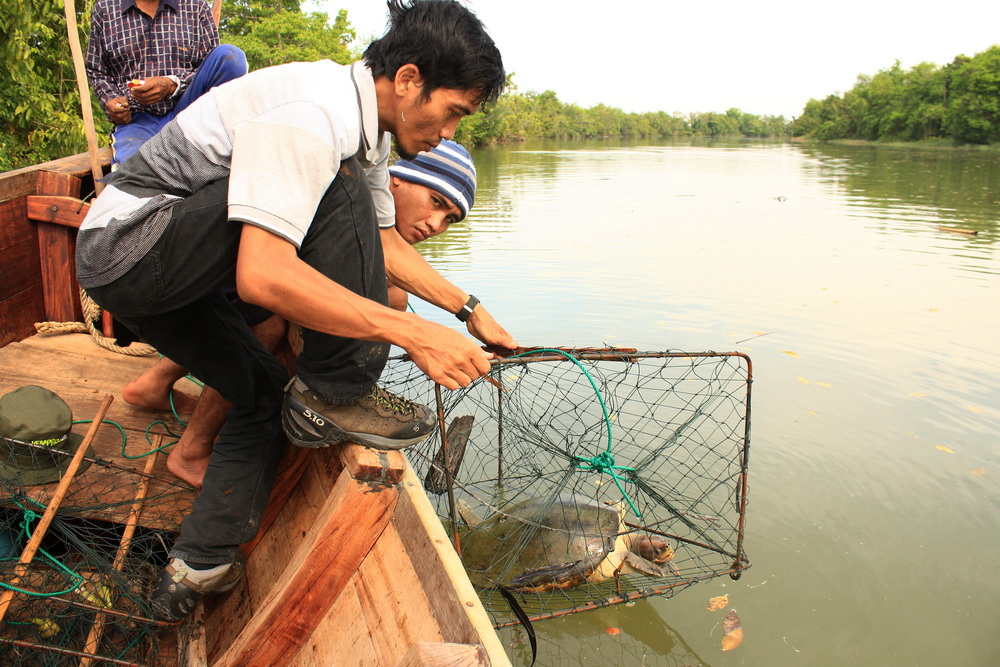 First field survey in 2014