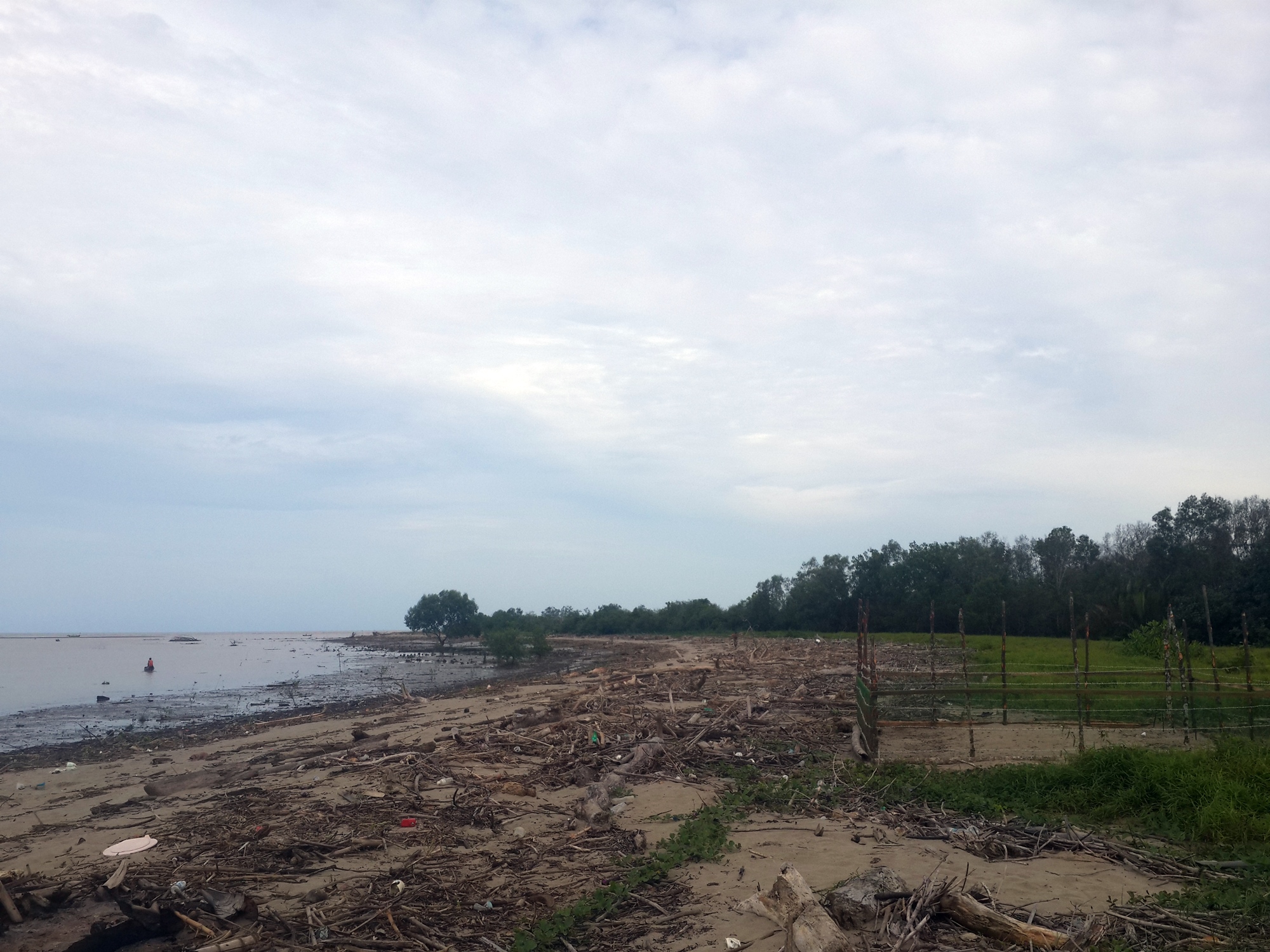 beach pollution