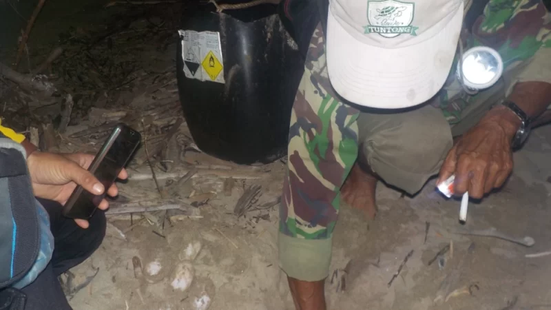 Saving Painted Terrapin Eggs in Aceh Tamiang in 2021