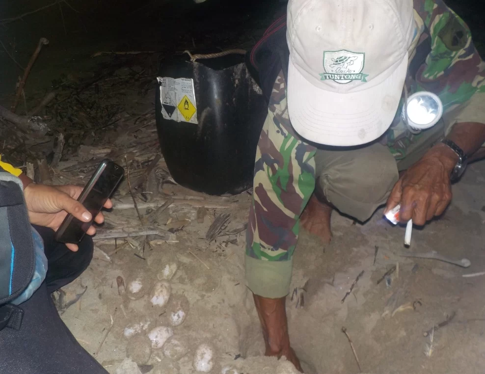 Saving Painted Terrapin Eggs in Aceh Tamiang in 2021