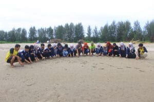 release babies terrapin