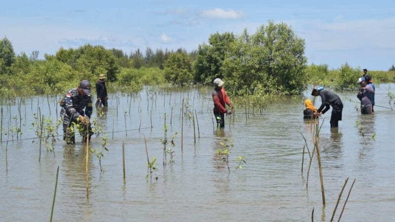 Planting Coastal Pine and Mangroves to Prevent the Abrasion of Nesting Sites