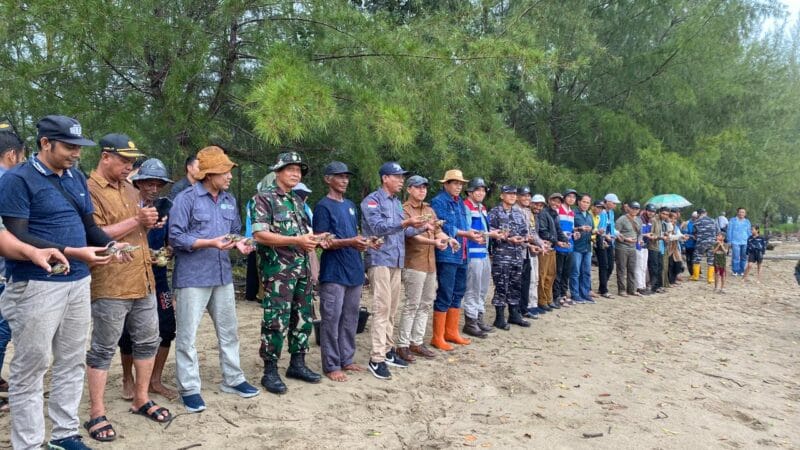 Over 1,100 Hatchlings of Critically Endangered Painted Terrapin Released into Habitat