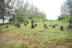 youth planting tree
