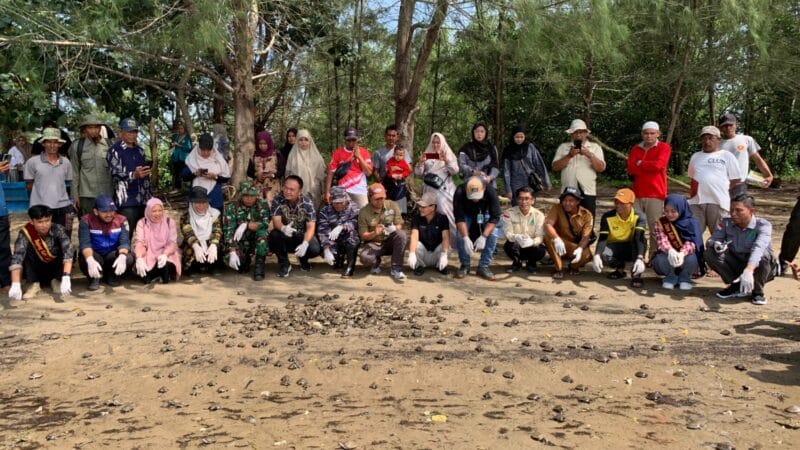 Over 1,200 Painted Terrapin Hatchlings Released into Wild in 2025