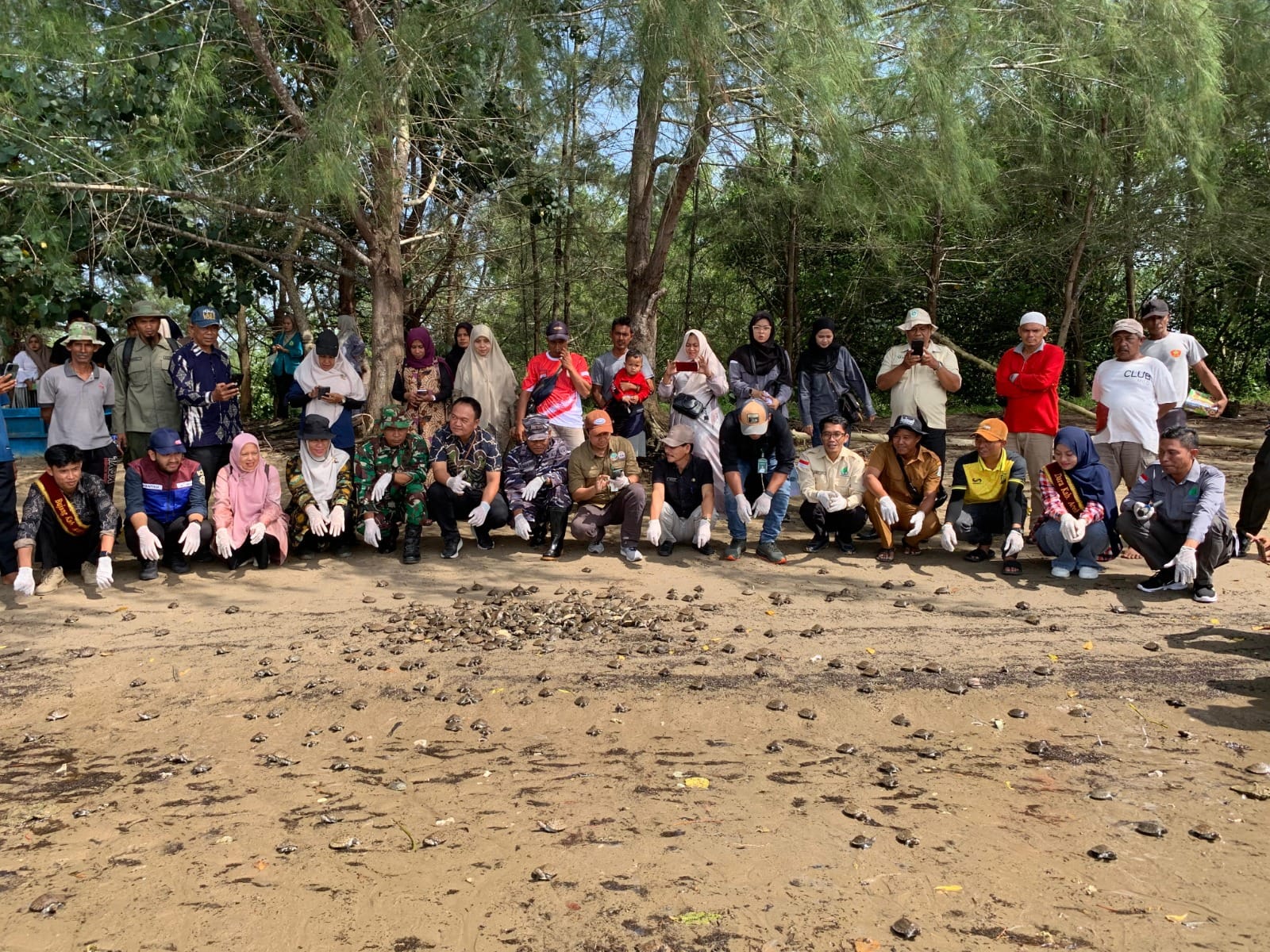 Over 1,200 Painted Terrapin Hatchlings Released into Wild in 2025